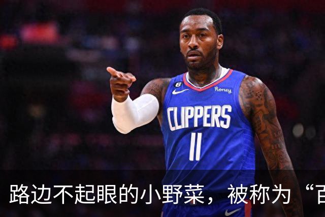 路边不起眼的小野菜，被称为“百菜之主”，易种易活，盆栽也爆盆